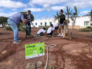 el-bosque-la-graciosa-7